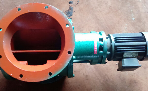 rotary valve (1)